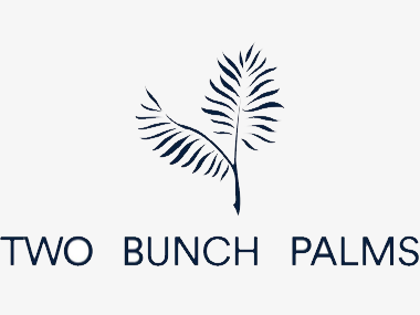 Two Bunch Palms