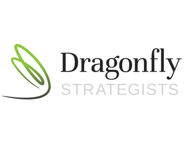 Dragonfly-Strategists-Logo 380×285